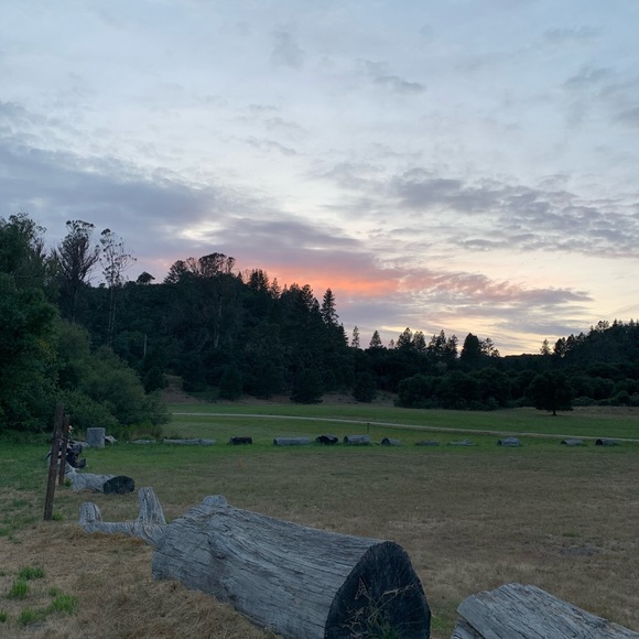 Meet your Posher, Julia - Picture 1 of 1